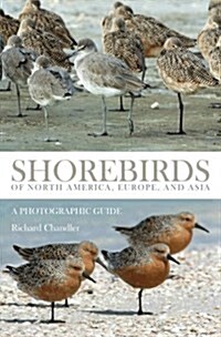 Shorebirds of North America, Europe, and Asia (Paperback)