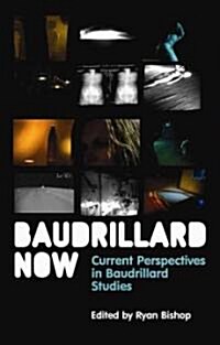 Baudrillard Now : Current Perspectives in Baudrillard Studies (Paperback)