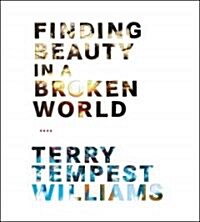 Finding Beauty in a Broken World (Audio CD, Abridged)