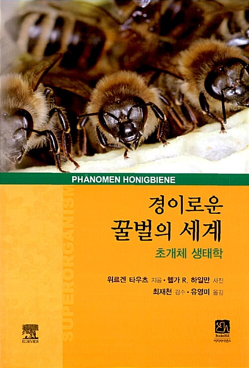 [중고] 경이로운 꿀벌의 세계