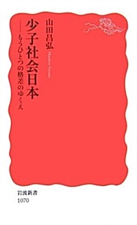 少子社會日本―もうひとつの格差のゆくえ (巖波新書) (新書)