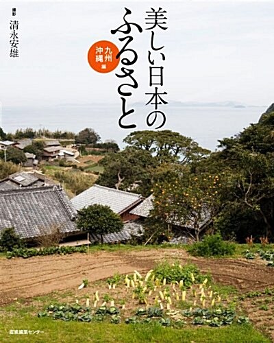 美しい日本のふるさと 九州·沖繩編 (單行本)