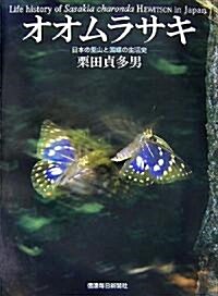 オオムラサキ―日本の里山と國蝶の生活史 (大型本)