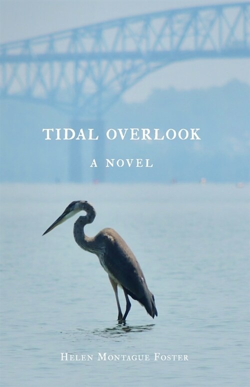 Tidal Overlook (Paperback)
