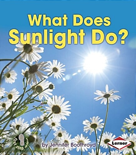 What Does Sunlight Do? (Paperback)