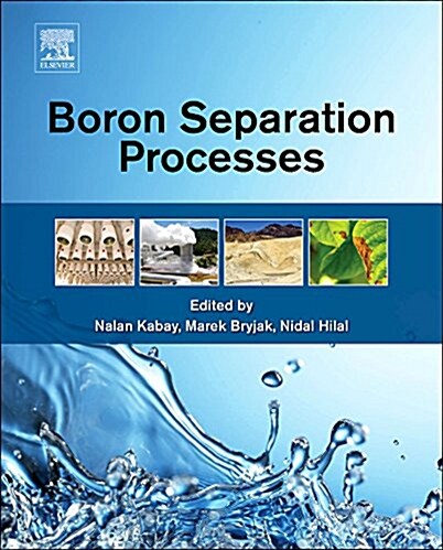 Boron Separation Processes (Hardcover)