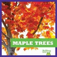 Maple Trees (Library Binding)