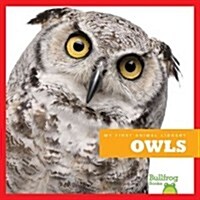 Owls (Hardcover)