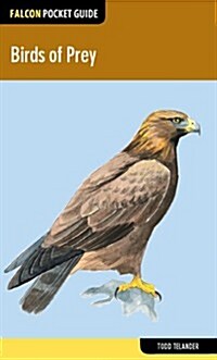 Birds of Prey (Paperback)