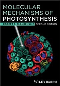 Molecular Mechanisms of Photosynthesis (Paperback, 2nd Edition)