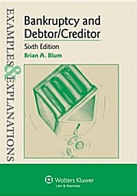 Examples & Explanations for Bankruptcy and Debtor Creditor (Paperback, 6)