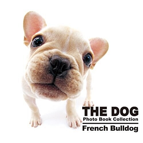 THE DOG Photo Book Collection French Bulldog (THE DOG Photo Book Collection) (單行本)