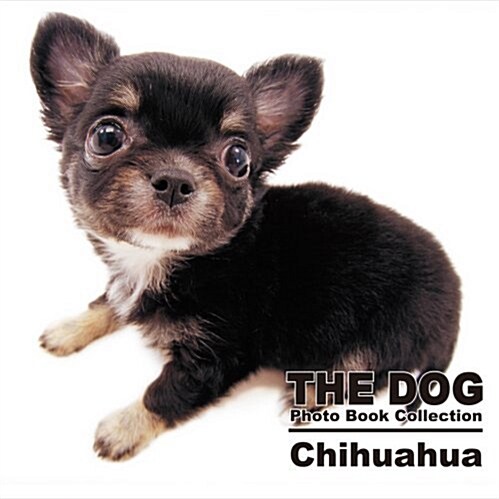 THE DOG Photo Book Collection Chihuahua (THE DOG Photo Book Collection) (單行本)