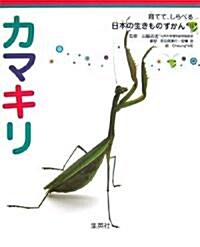 カマキリ (育てて、しらべる日本の生きものずかん) (大型本)