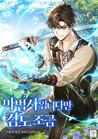 [세트] 마법사입니다만 검도 조금 (총13권/완결)