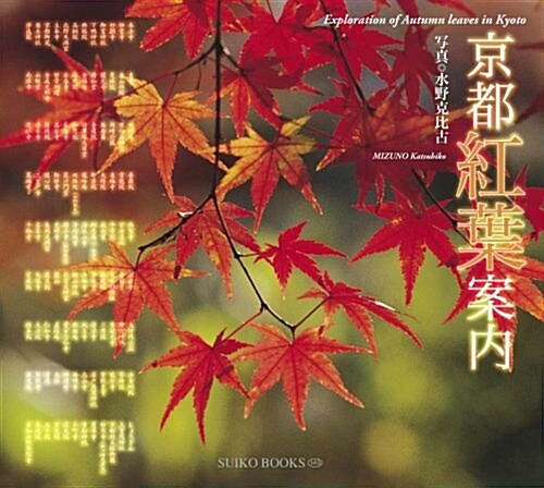 京都紅葉案內 (SUIKO BOOKS 149) (單行本(ソフトカバ-))