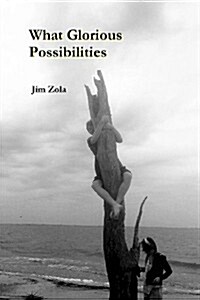 What Glorious Possibilities (Paperback)