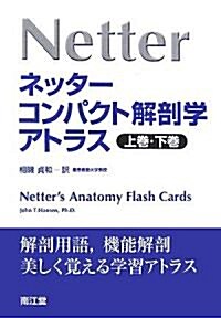 ネッタ-コンパクト解剖學アトラス (單行本)