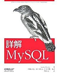 詳解 MySQL (大型本)