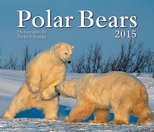 Polar Bears (Paperback)