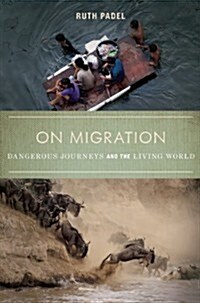 On Migration: Dangerous Journeys and the Living World (Paperback)