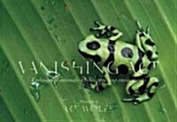 Vanishing ACT: The Artistry of Animal Camouflage (Paperback)