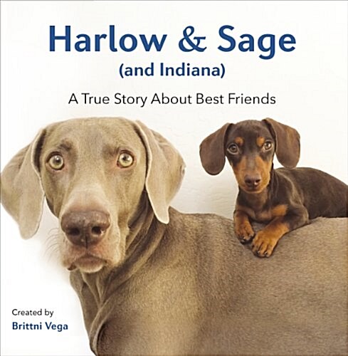 [중고] Harlow & Sage (and Indiana): A True Story about Best Friends (Hardcover)