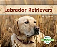 Labrador Retrievers (Library Binding)