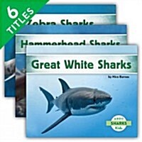 Sharks Set 1 (Set) (Library Binding)