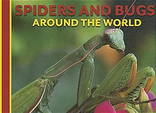 Spiders and Bugs Around the World (Library Binding)