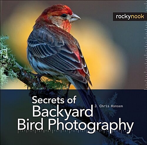 Secrets of Backyard Bird Photography (Hardcover)
