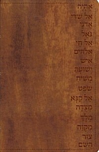 Names of God Bible-GW-Hebrew Name Design (Imitation Leather)