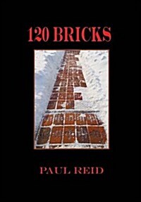 120 Bricks (Hardcover)