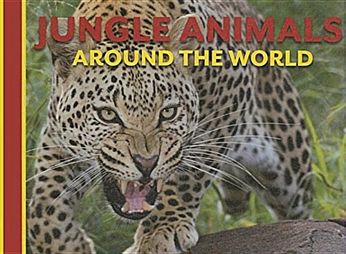 Jungle Animals Around the World (Library Binding)