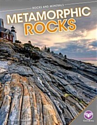 Metamorphic Rocks (Library Binding)