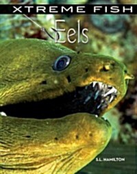 Eels (Library Binding)