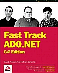 Fast Track Ado.Net (Paperback)