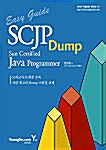 Easy Guide SCJP Dump
