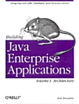 Building Java Enterprise Applications: Architecture (Paperback)