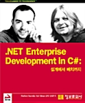 .NET Enterprise Development in C#