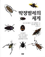 딱정벌레의 세계