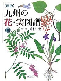 原色 九州の花·實圖譜〈3〉 (大型本)