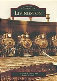 Livingston (Paperback)