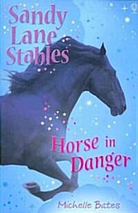 Horse in Danger (Paperback)