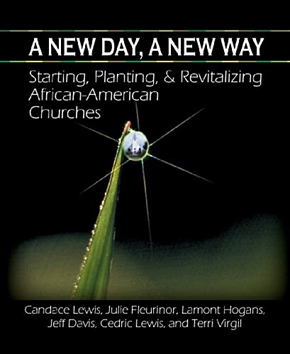 A New Day, a New Way (Paperback)