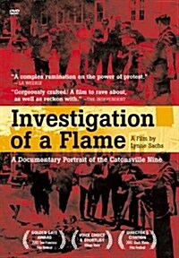 [수입] Investigation of a Flame