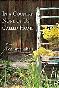 In a Country None of Us Called Home (Paperback)