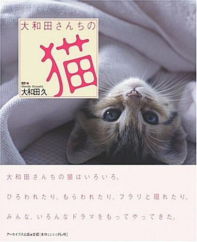 大和田さんちの猫 (初, 單行本)