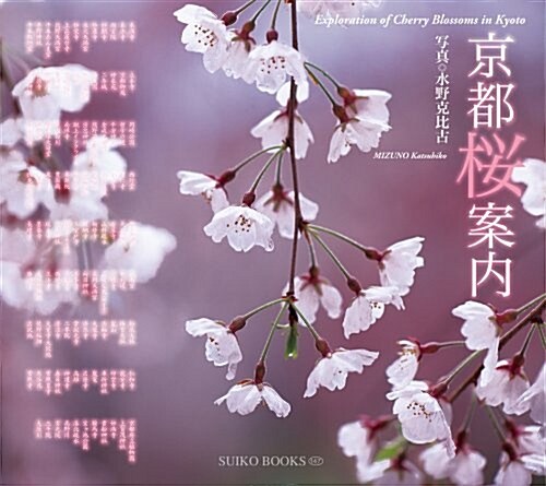 京都櫻案內 (SUIKO BOOKS 147) (單行本(ソフトカバ-))