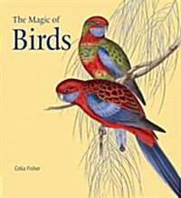 The Magic of Birds (Hardcover)